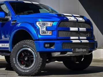 Ford F-150 2019 photo 2
