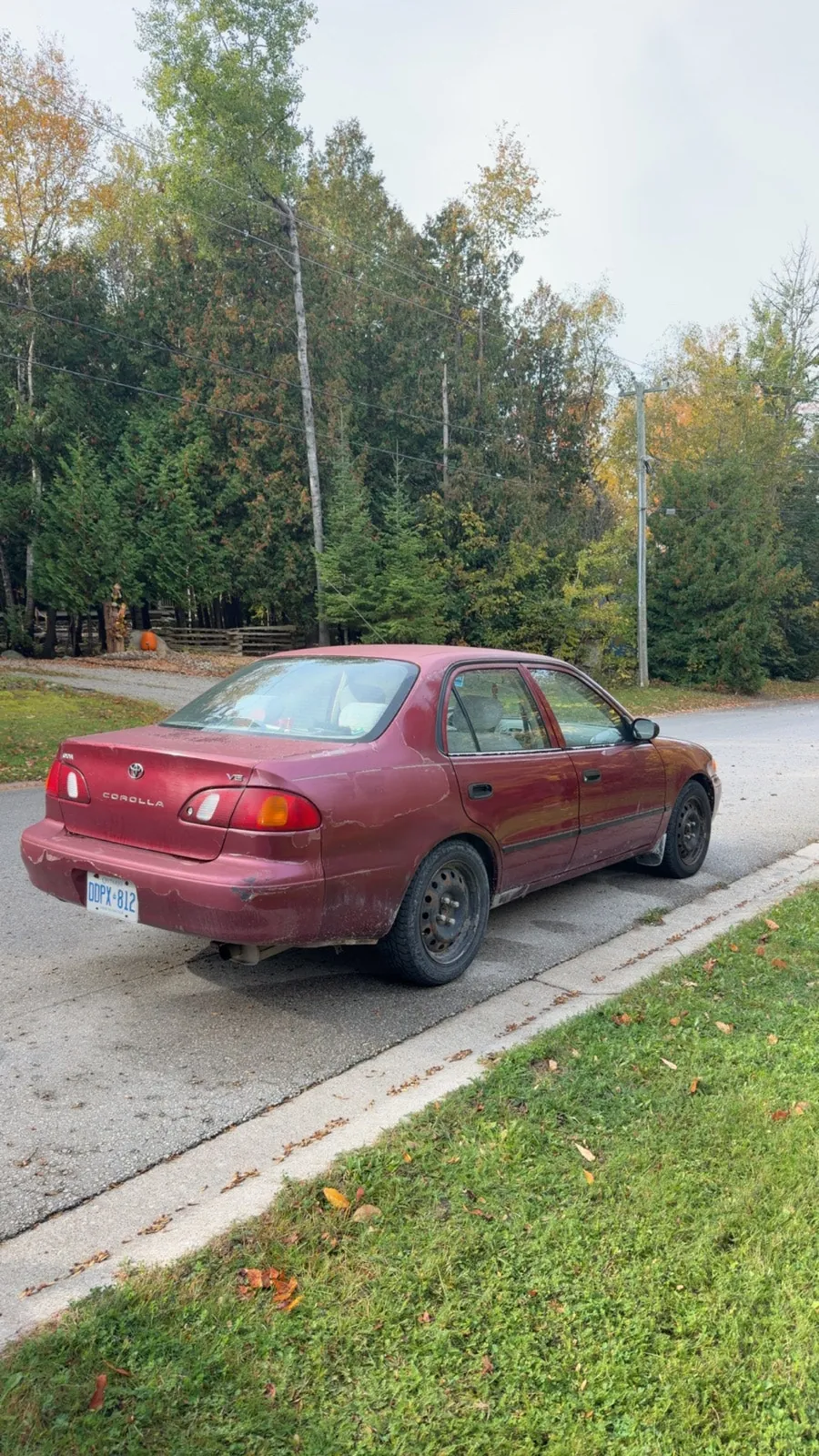 Toyota Corolla 1999 photo 2