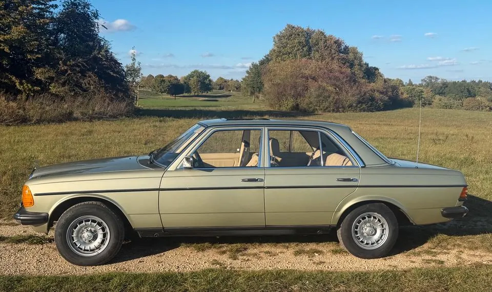 Mercedes-Benz W123