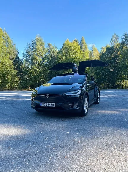 Tesla Model X 2018 photo 2