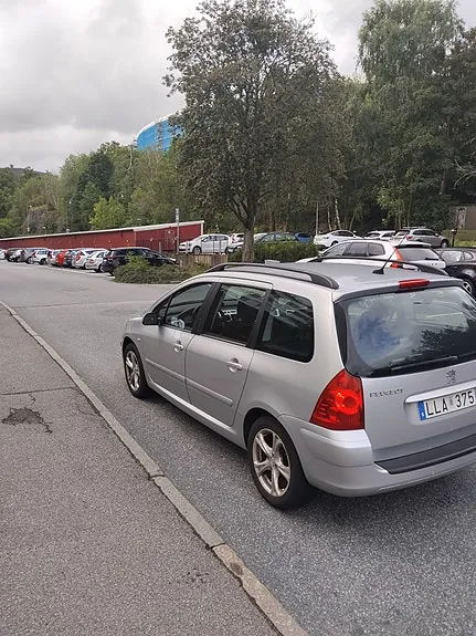 Peugeot 307 2007 photo 5