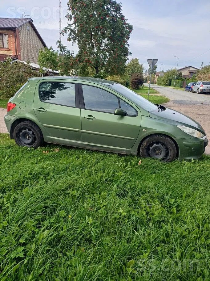 Peugeot 307 2006 photo 4
