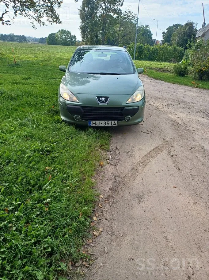 Peugeot 307 2006 photo 2
