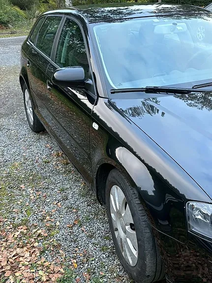 Audi A3 2008 photo 3
