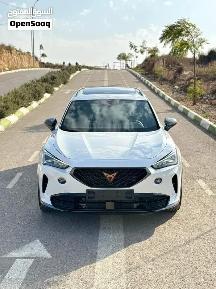 Cupra Formentor 2024 photo 2