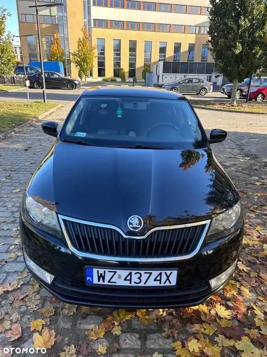 Skoda Rapid 2013 photo 5