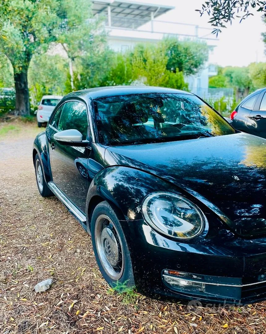 Volkswagen Maggiolino