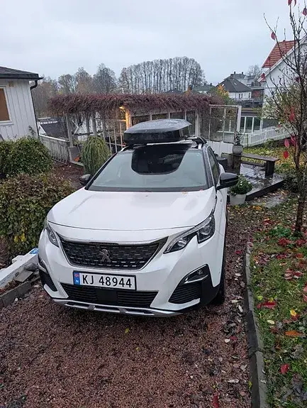 Peugeot 3008 2020 photo 2