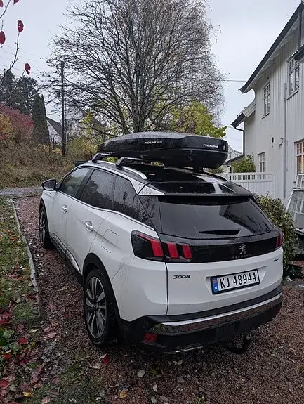 Peugeot 3008 2020 photo 4