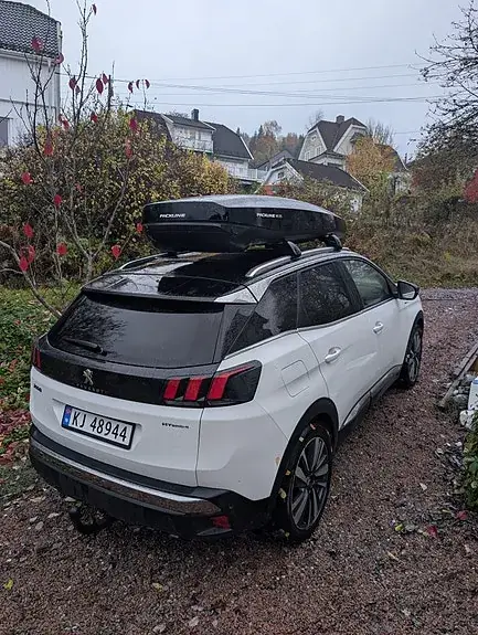 Peugeot 3008 2020 photo 3