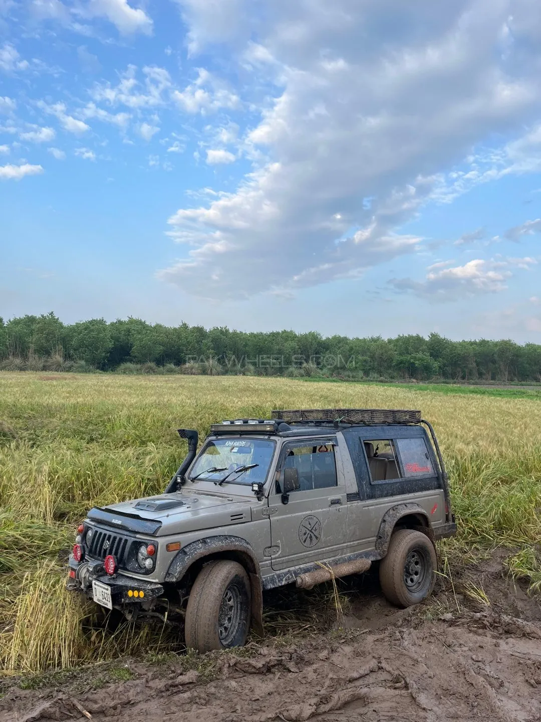 Suzuki Potohar