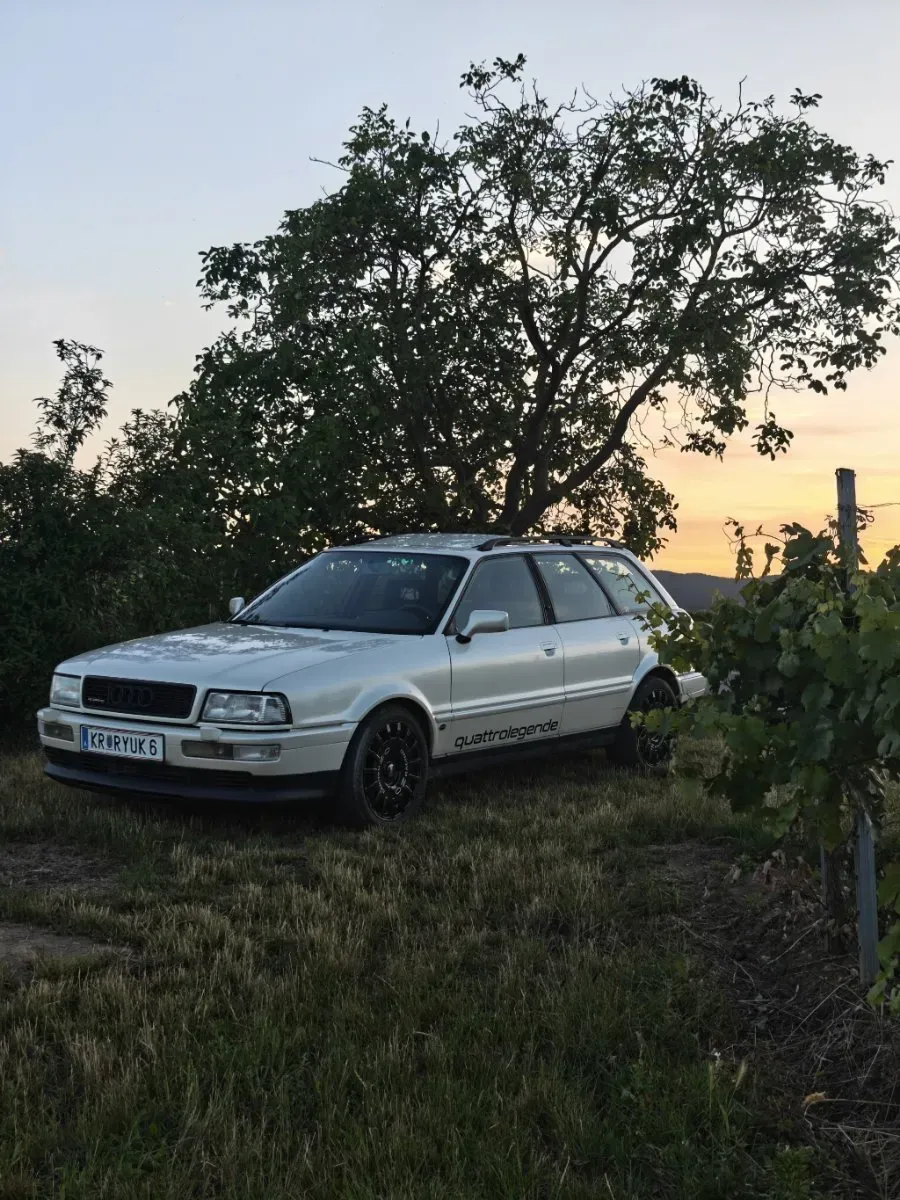 Audi 80 1993 photo 3