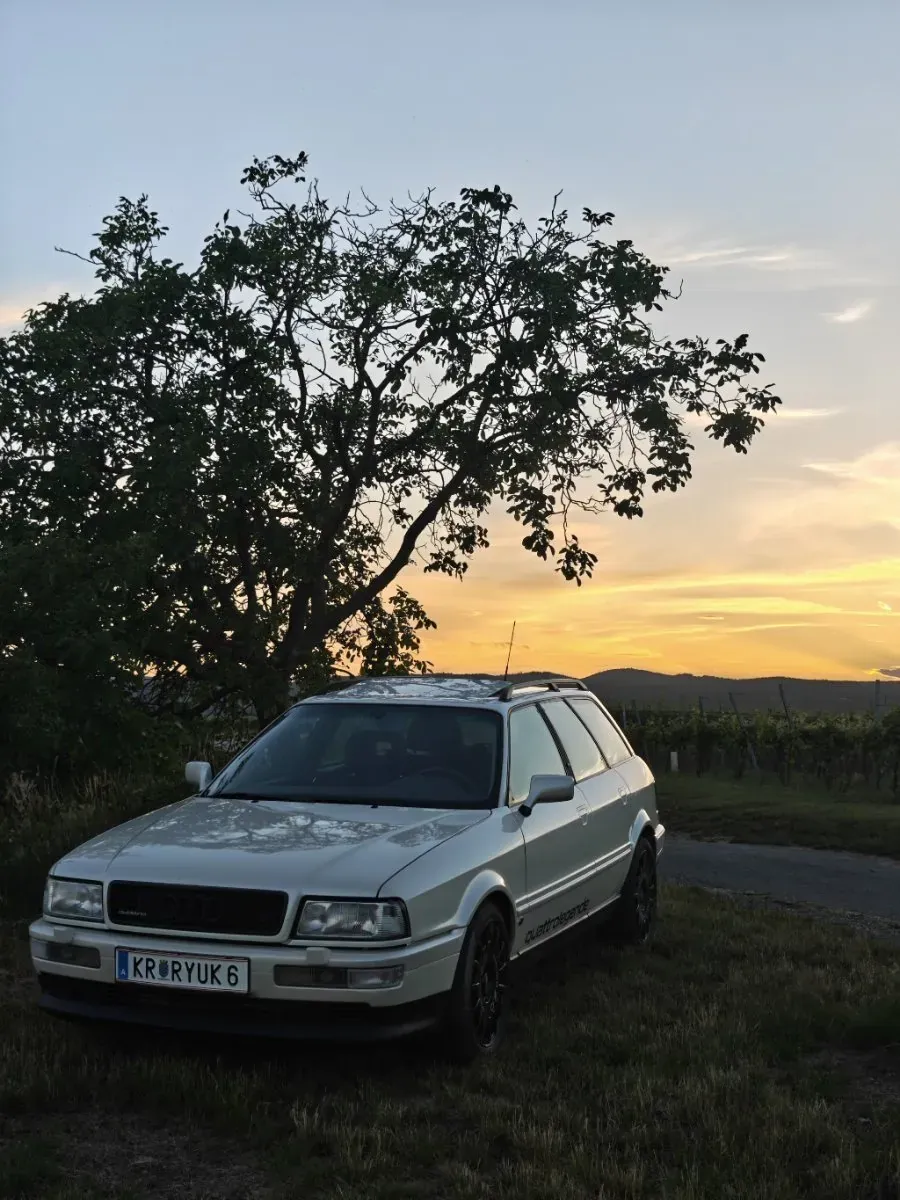 Audi 80 1993 photo 2