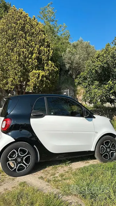 Smart Passion