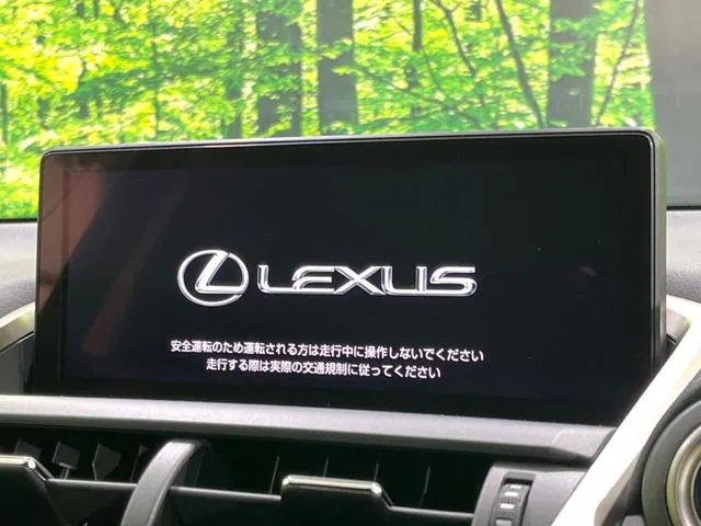 Lexus Nx300H 2019 photo 3