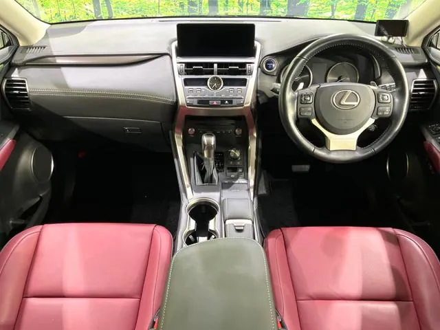 Lexus Nx300H 2019 photo 2