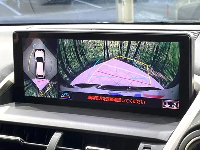 Lexus Nx300H 2019 photo 4