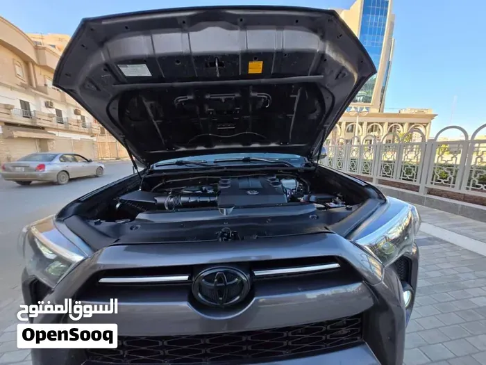 Toyota 4Runner 2009 photo 2
