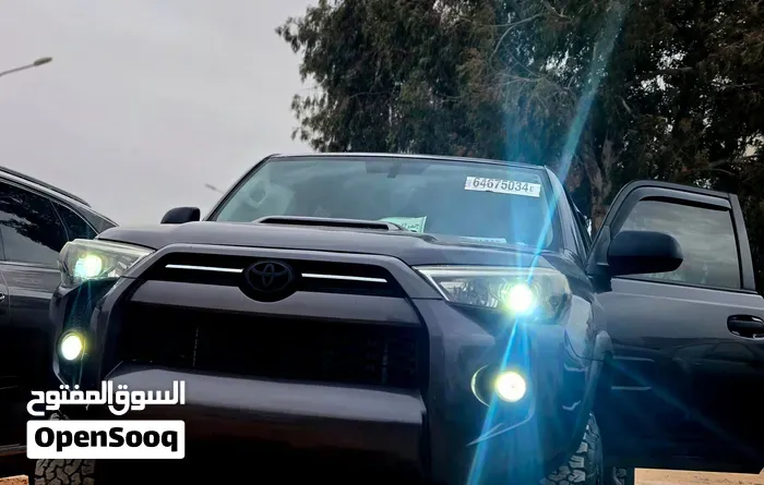 Toyota 4Runner 2009 photo 4