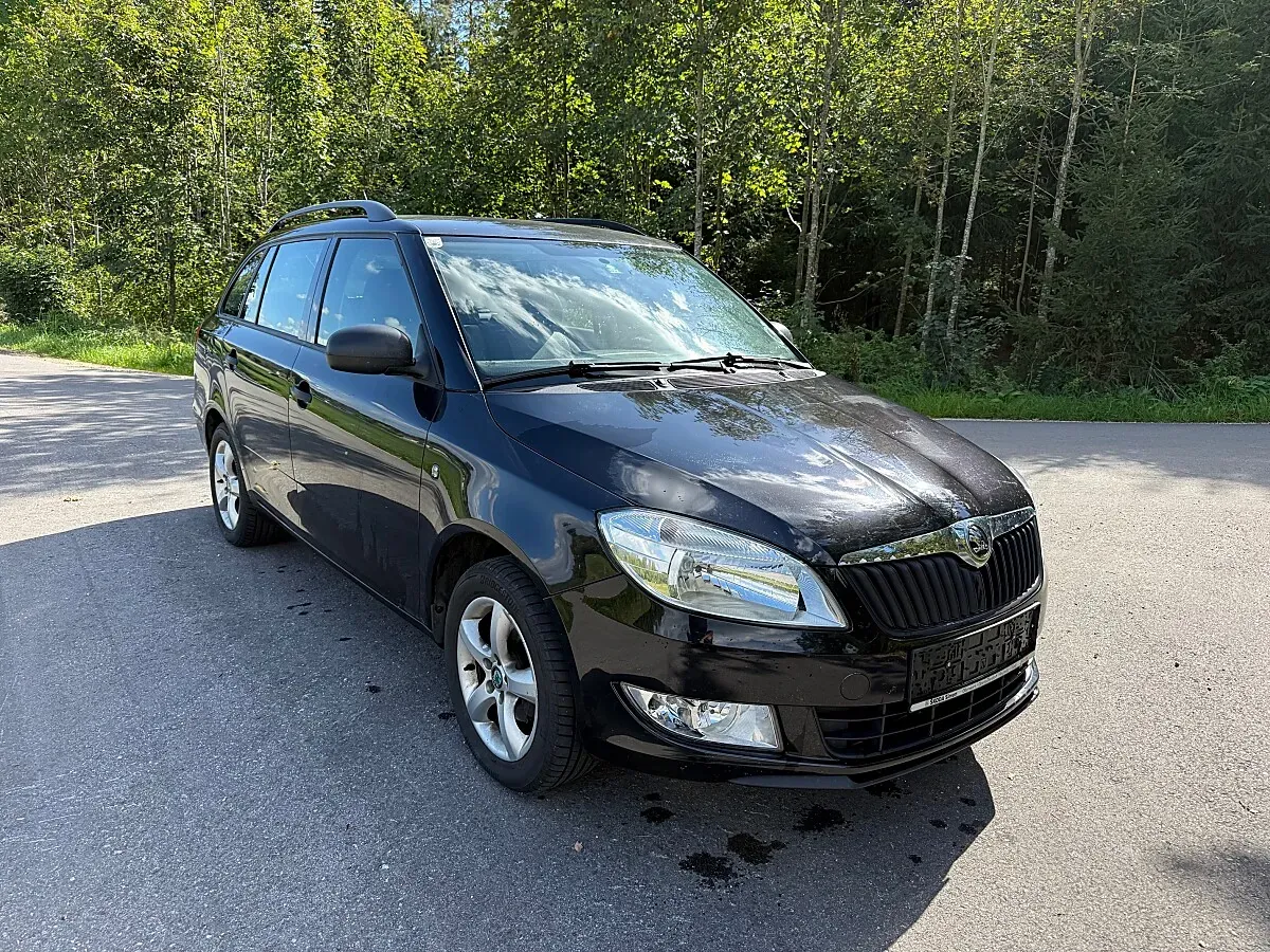 Skoda Fabia 2014 photo 2
