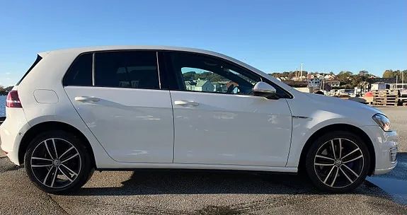 Volkswagen Golf Vii 2016 photo 4