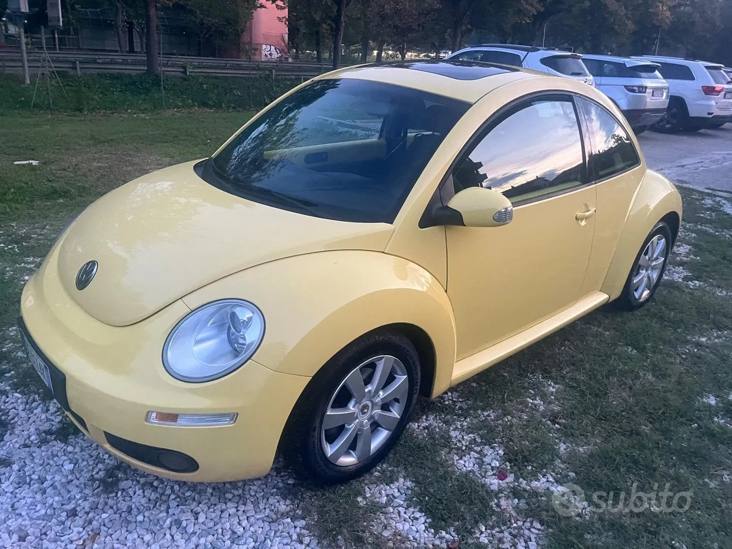 Volkswagen New Beetle 2006 photo 2