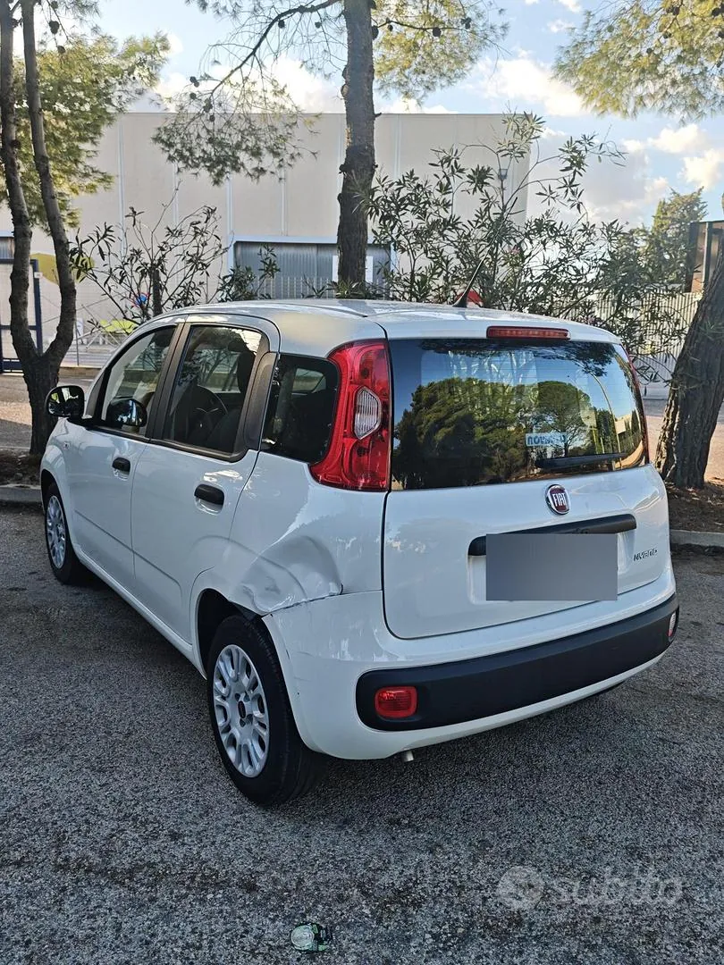 Fiat Panda 2024 photo 3