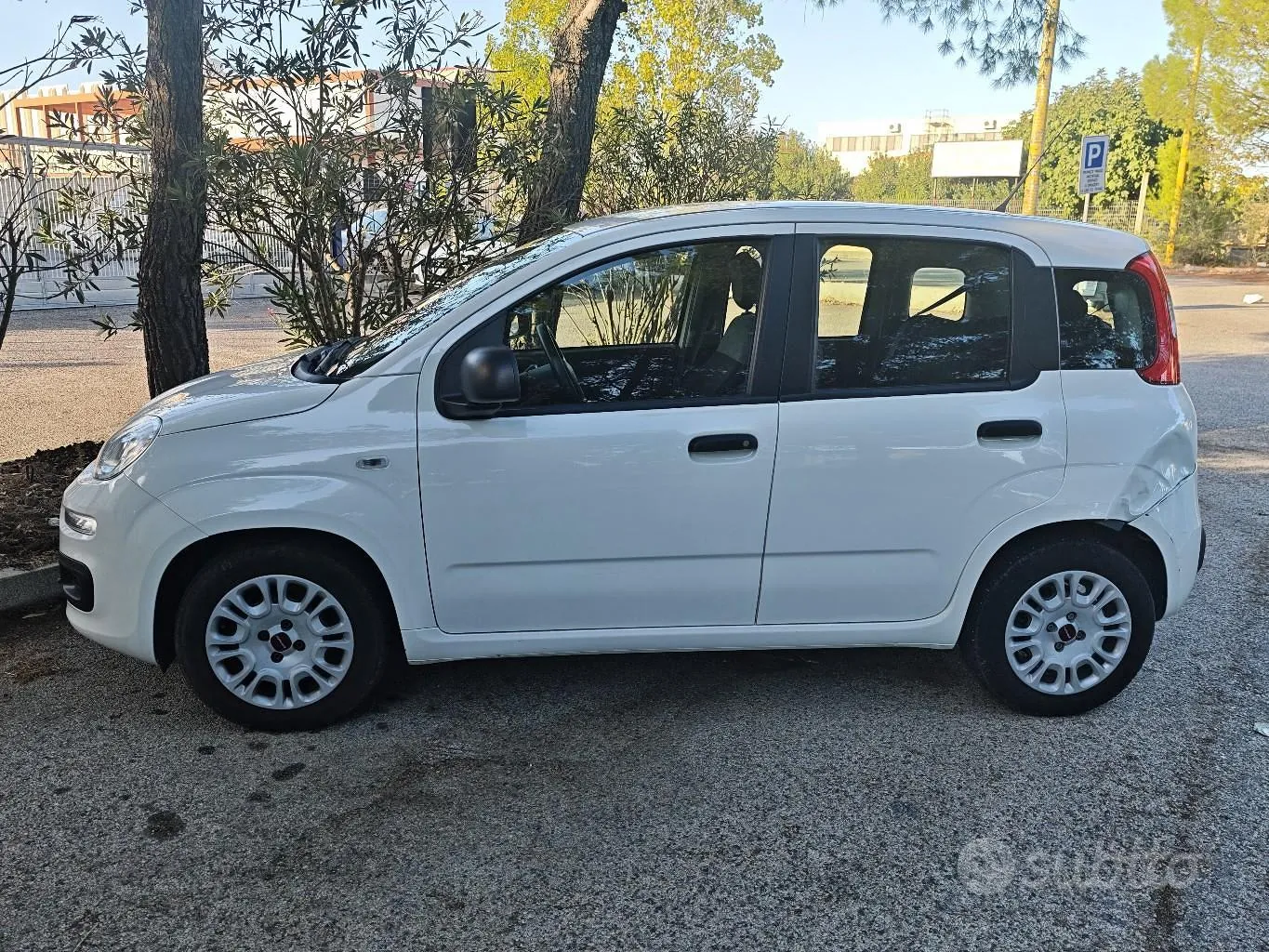 Fiat Panda 2024 photo 2