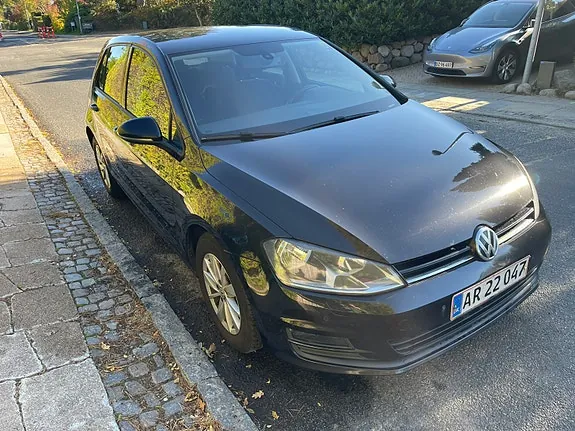 Volkswagen Golf Vii 2014 photo 2