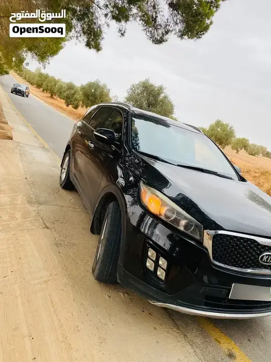 Kia Sorento 2016 photo 2
