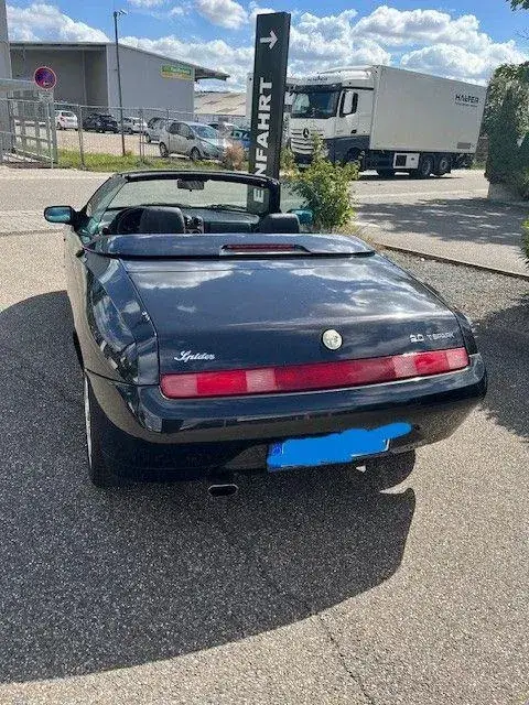 Alfa Romeo Spider