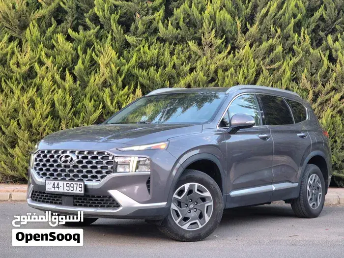 Hyundai Santa Fe 2021 photo 3