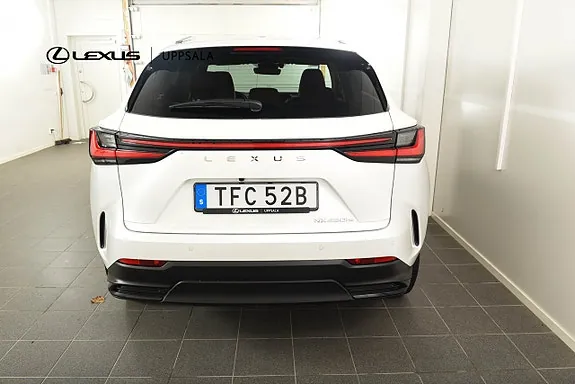 Lexus Nx450H+ 2023 photo 4