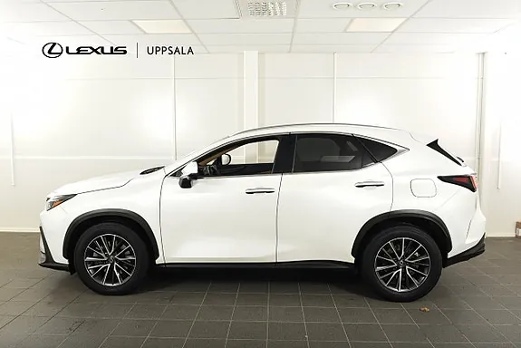 Lexus Nx450H+ 2023 photo 3