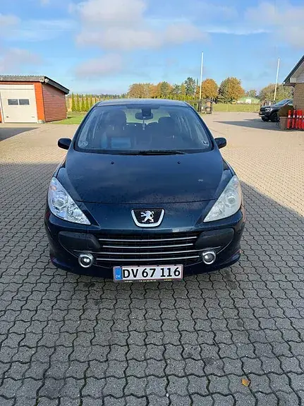 Peugeot 307 2007 photo 4