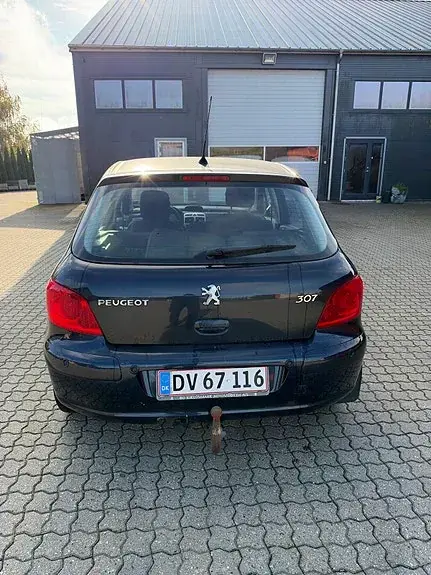 Peugeot 307 2007 photo 3