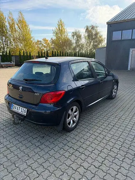 Peugeot 307 2007 photo 2