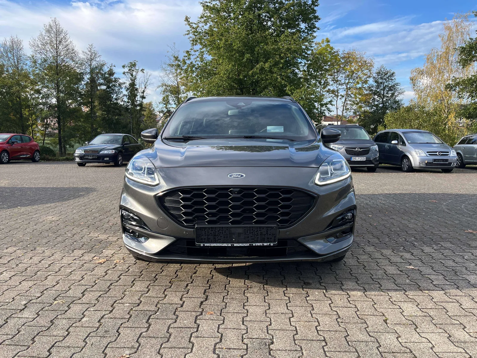 Ford Kuga 2020 photo 2
