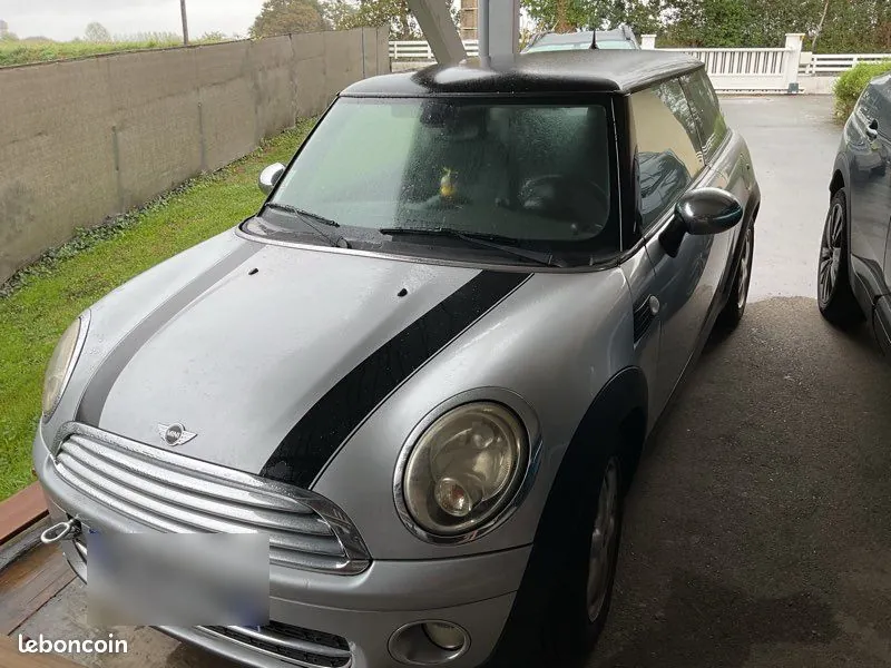 Mini Mini