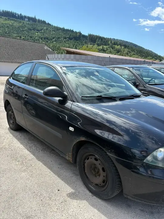 Seat Ibiza 2003 photo 2