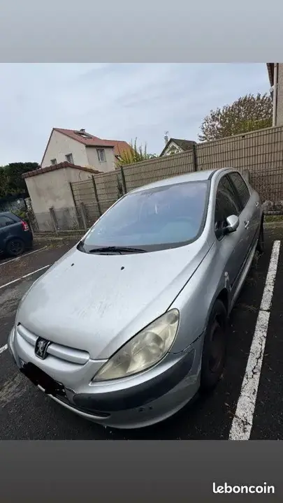 Peugeot 307 2004 photo 2