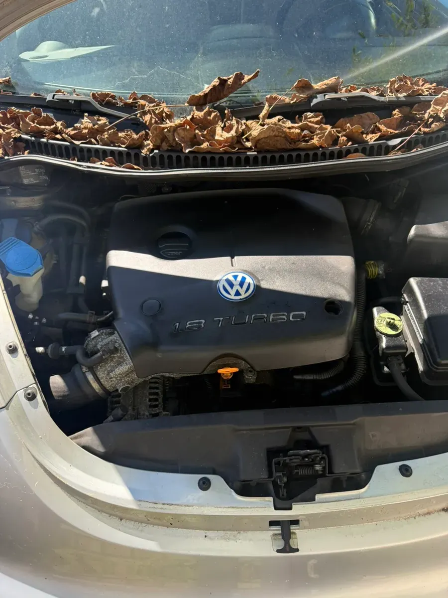 Volkswagen Beetle 2001 photo 2