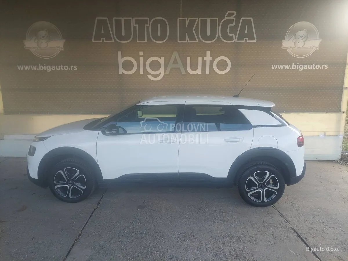 Citroen C4 Cactus 2020 photo 4