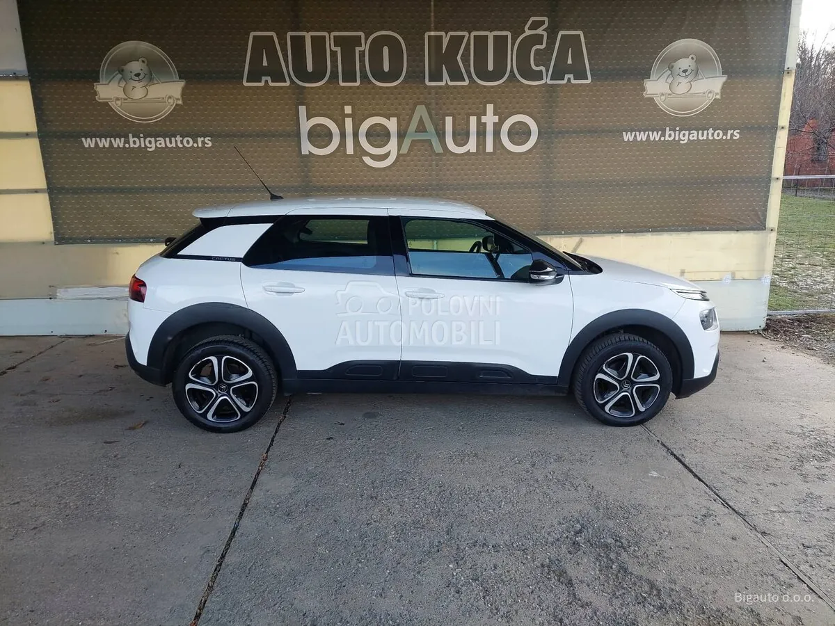 Citroen C4 Cactus 2020 photo 5