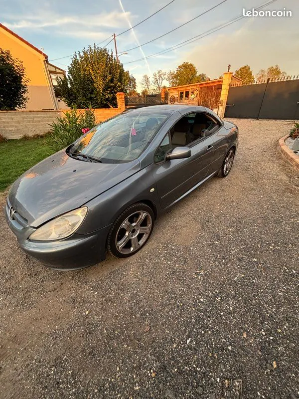 Peugeot 307 2004 photo 2