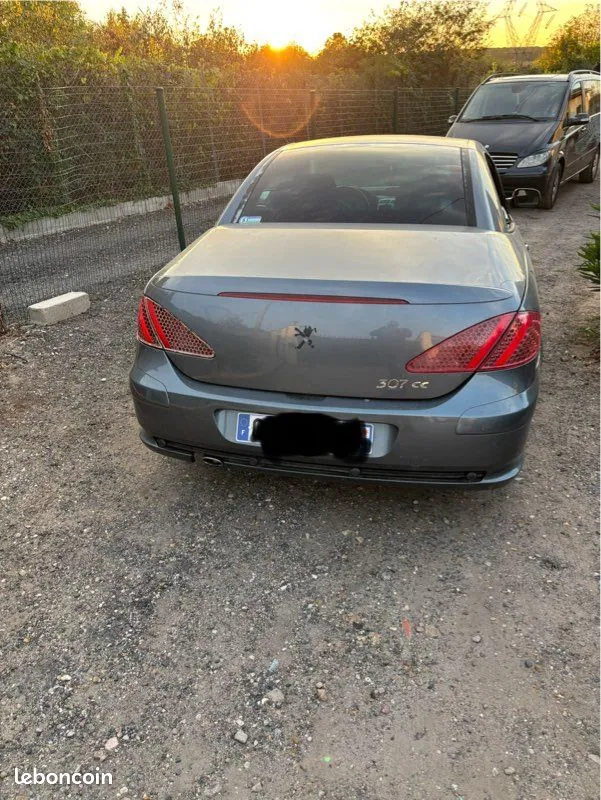 Peugeot 307 2004 photo 3