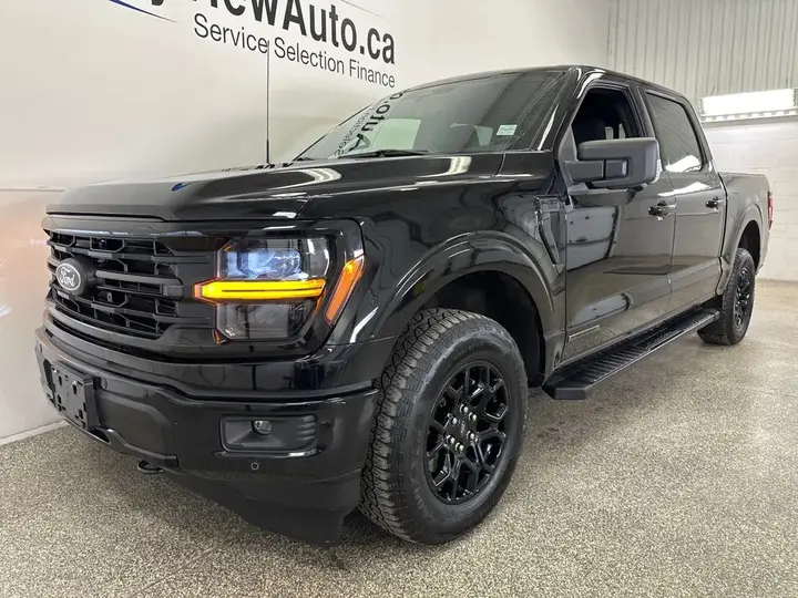 Ford F-150 2024 photo 3