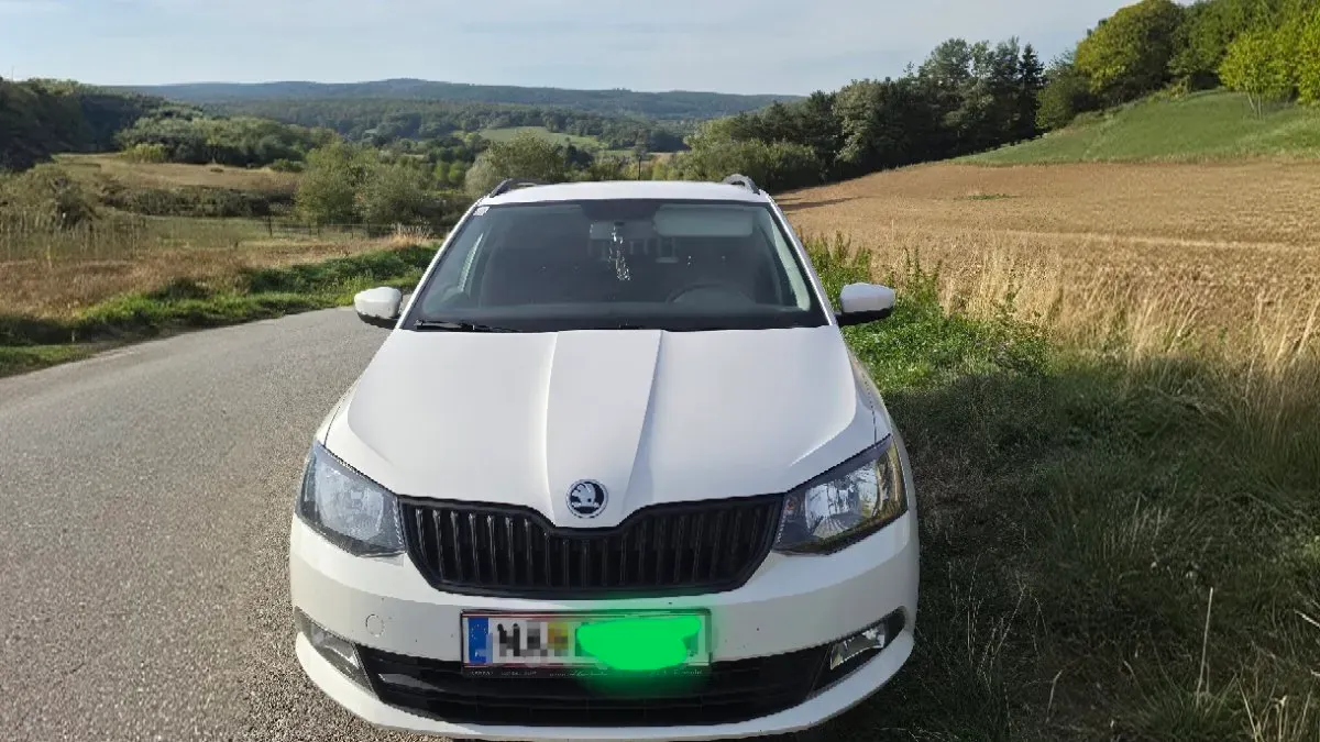 Skoda Fabia 2018 photo 2