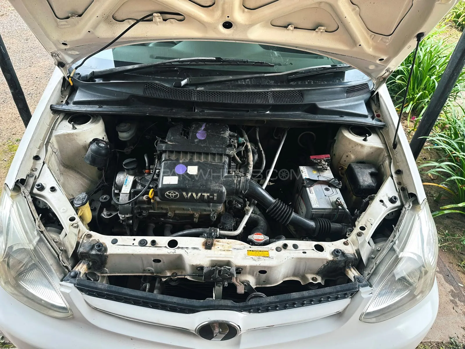Toyota Platz