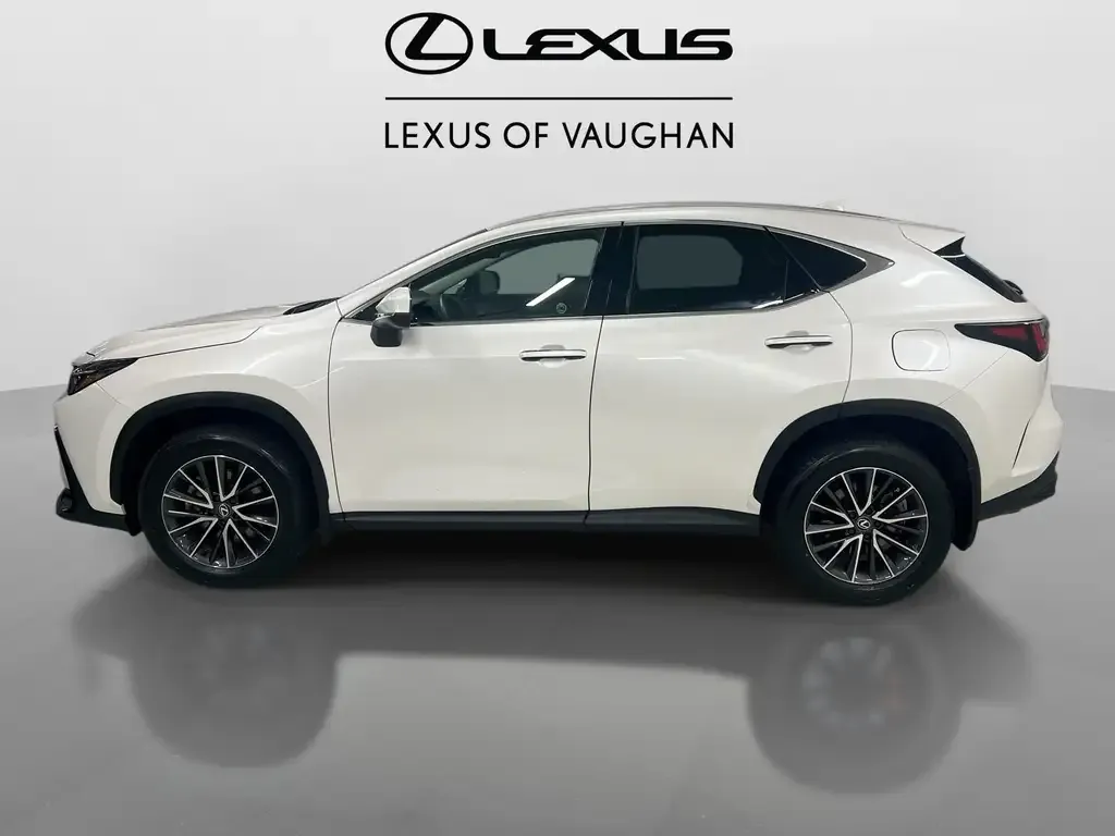 Lexus Nx 2025 photo 5